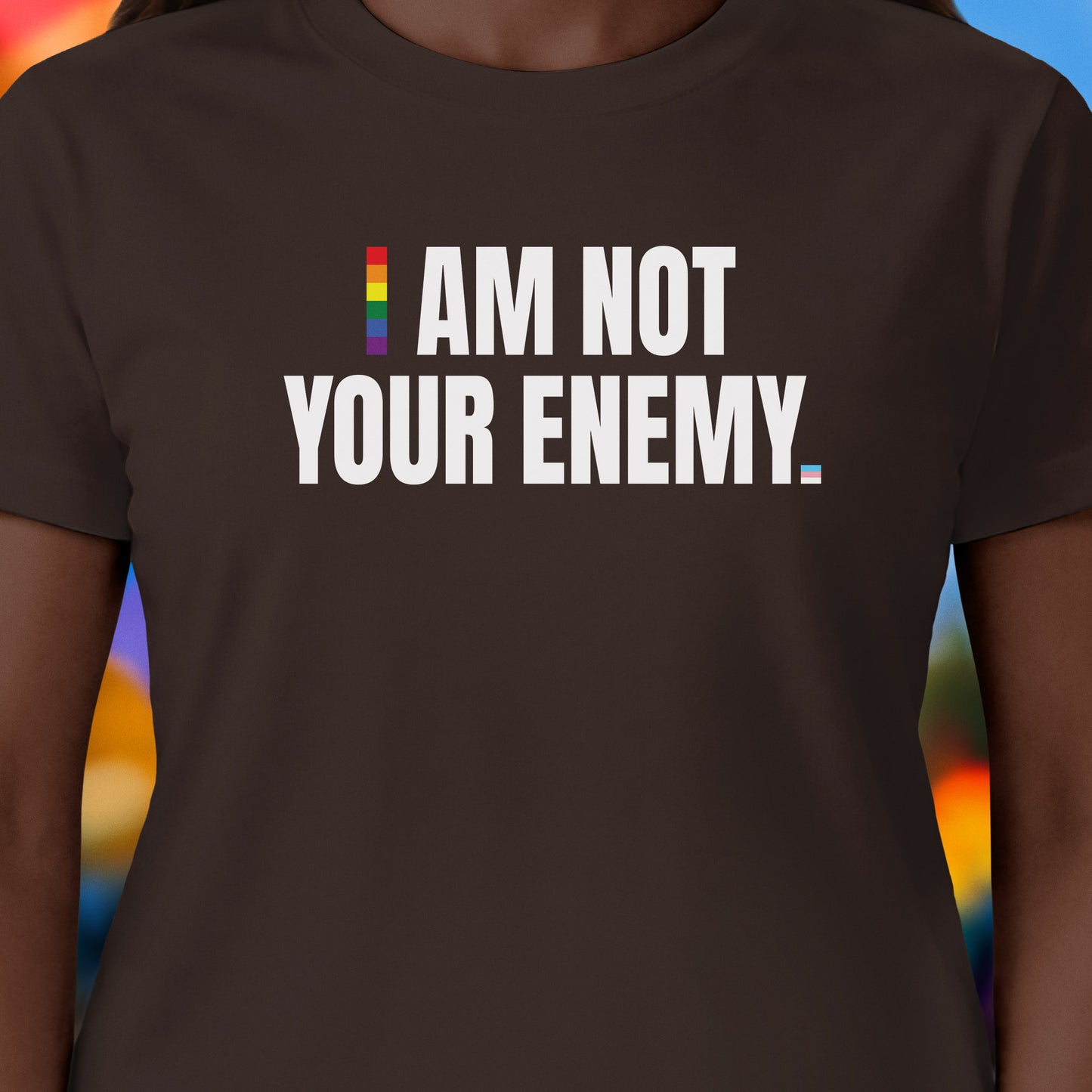 Not Your Enemy Pride T-Shirt