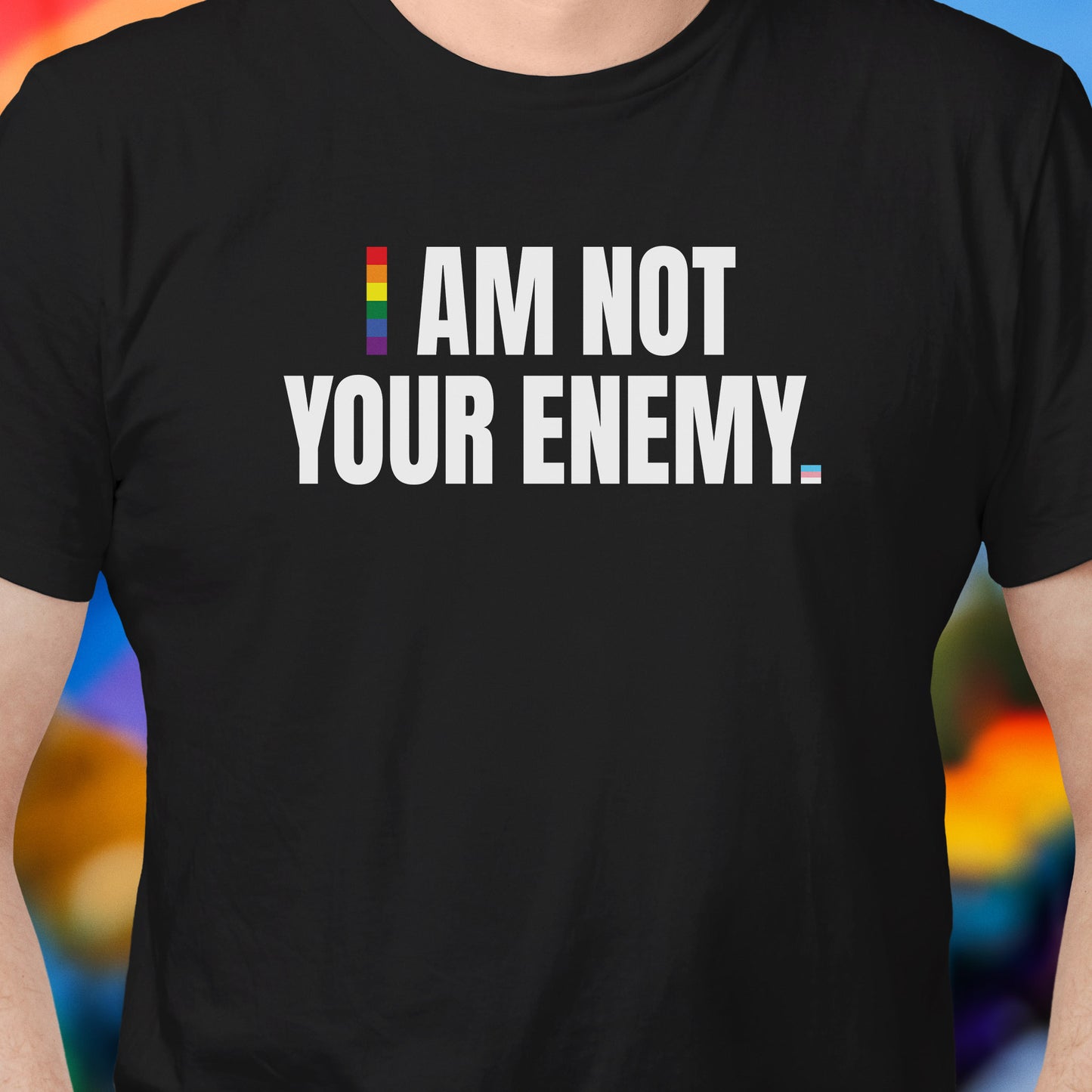 Not Your Enemy Pride T-Shirt