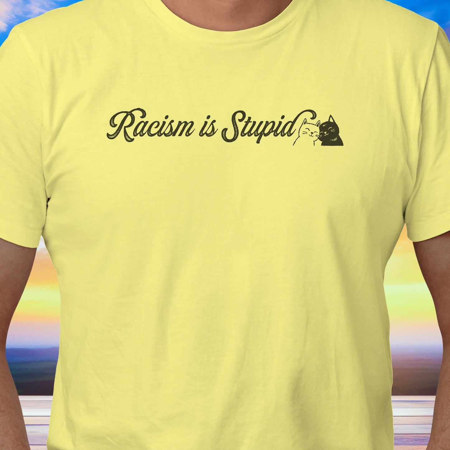 Racism is Stupid Cats T-Shirt