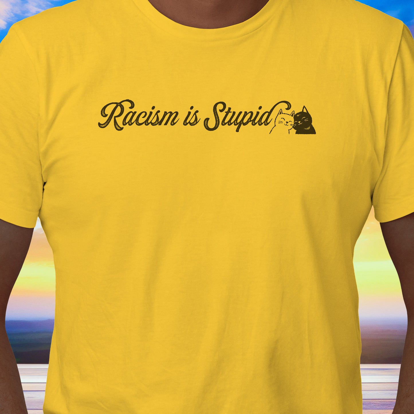 Racism is Stupid Cats T-Shirt