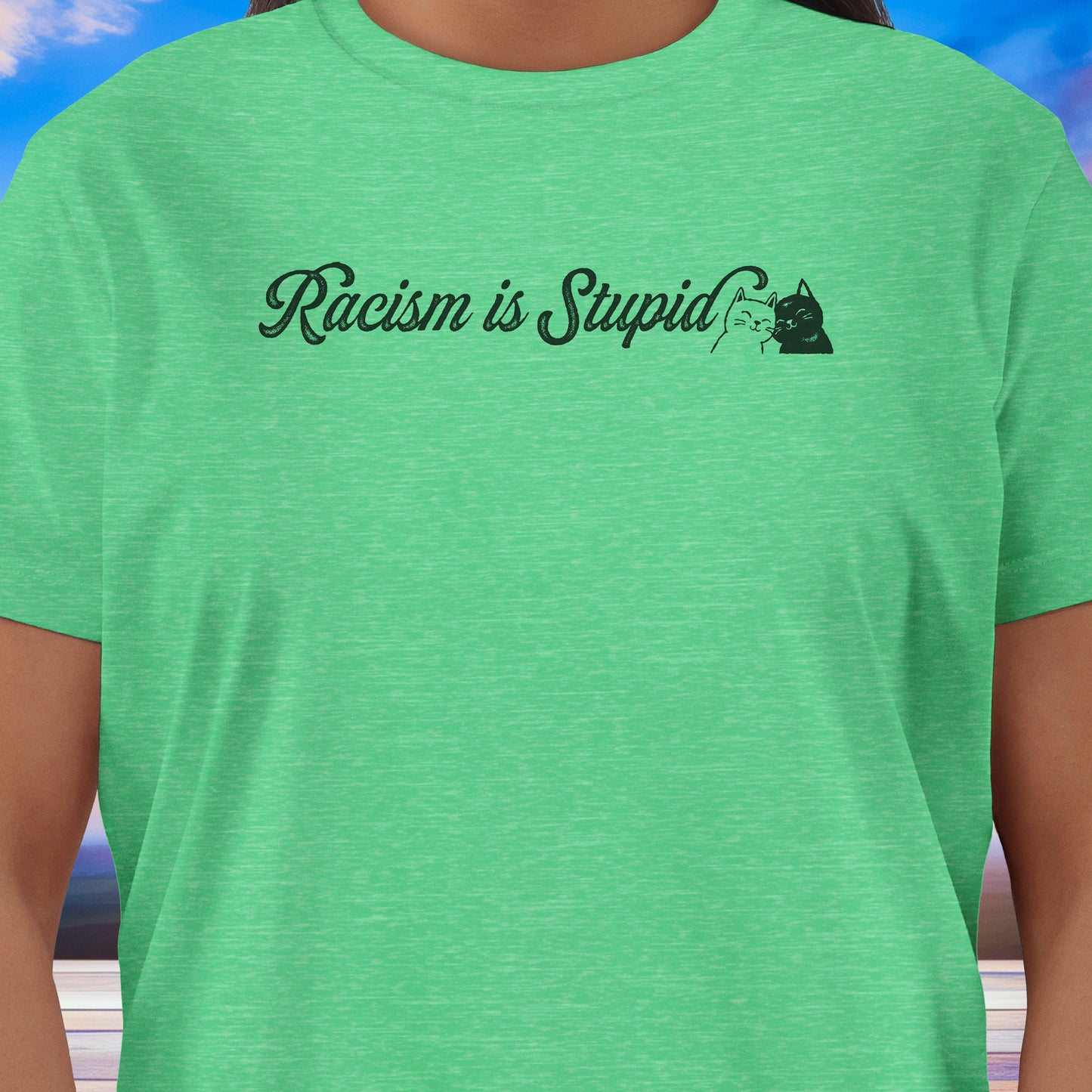 Racism is Stupid Cats T-Shirt