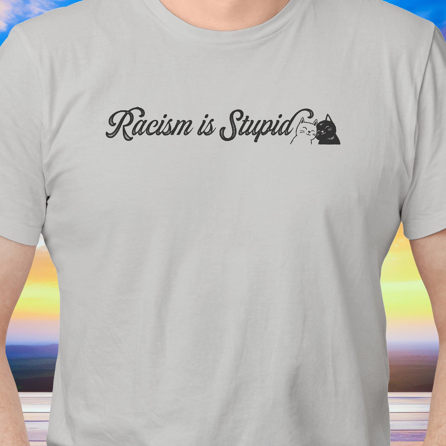 Racism is Stupid Cats T-Shirt